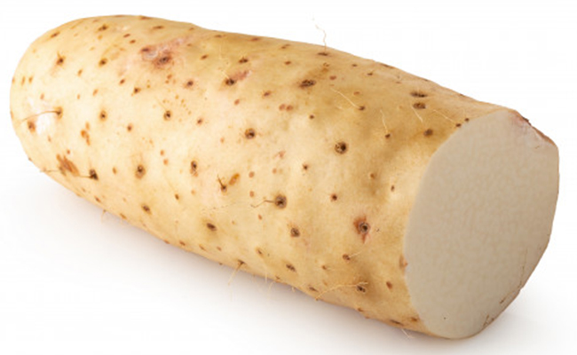 Igname de Chine (Dioscorea batatas), igname patate